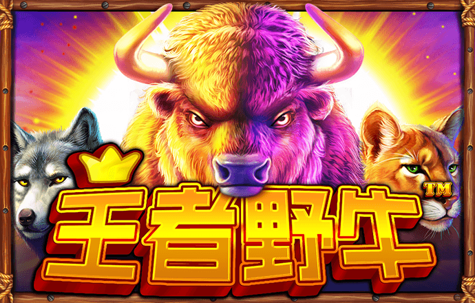 6分彩票首页登录